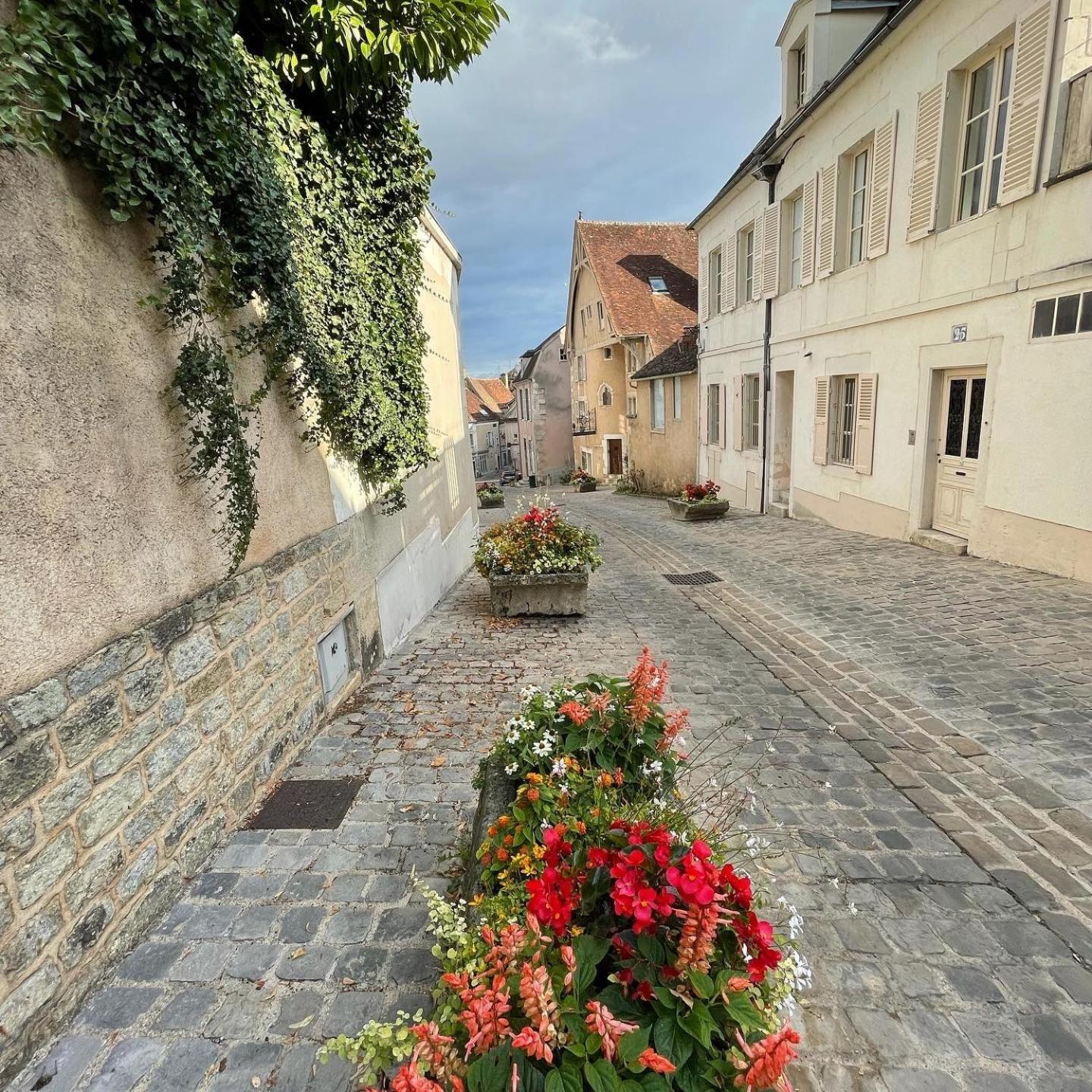 Le Pigeonnier Centre Historique Auxerre Apartment Ngoại thất bức ảnh
